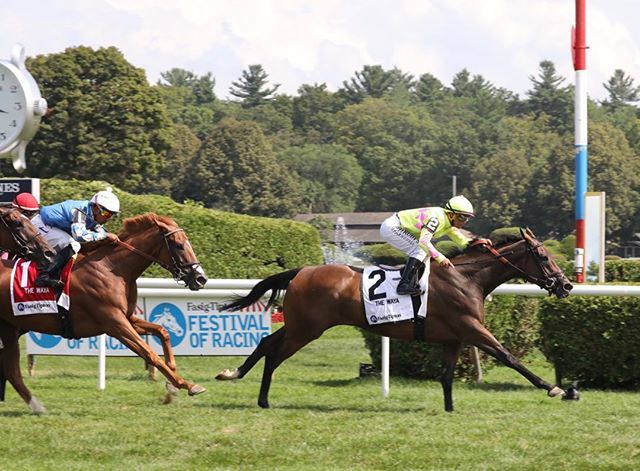 PhotosbyZ's tweet photo. Fool’s Gold with Javier Castellano up wwins the 2019 Fasig-Tipton Waya for trainer Chad Brown and owner Wise Stable @ Fasigtipton @niallbrennan #nobodysfool https://t.co/WN1ZM99VV4 https://t.co/wqneEjfzqy