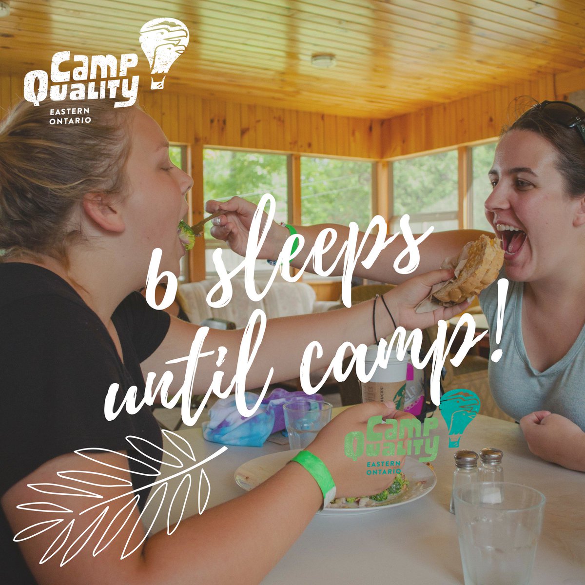 Camp Quality Eastern tweet media