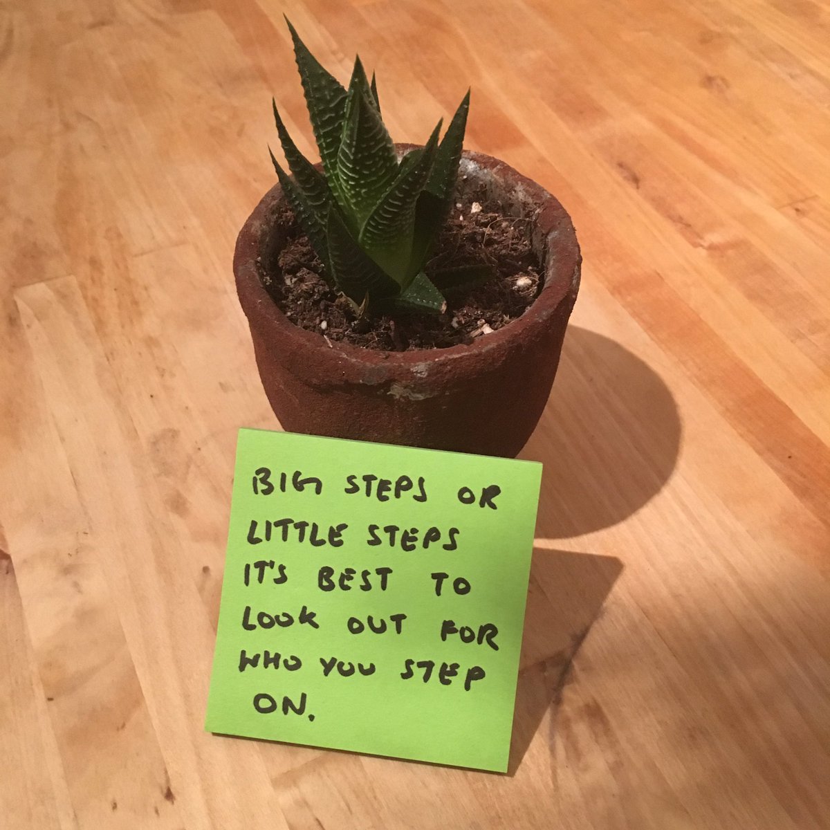 proverbproject's tweet image. Big steps or little steps, it’s best to look out for who you step on. #plantproverb