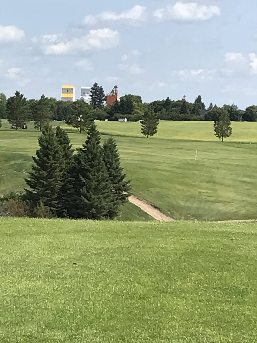 RogerMcComas's tweet photo. Beautiful Saskatchewan view! 3 Elevators, a canola field and Shellbrook Hidden Hills Golf Course! https://t.co/YB2D6HUMMP