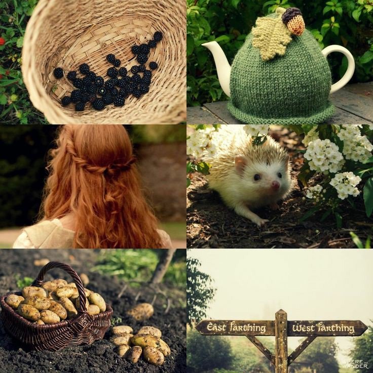 "ᶜᵒᵘʳᵃᵍᵉ ⁱˢ ᶠᵒᵘⁿᵈ ⁱⁿ ᵘⁿˡⁱᵏᵉˡʸ ᵖˡᵃᶜᵉˢ"

              | Rσʂιҽ Cσƚƚσɳ |

• hobbit / halfling girl
• #lotrrp / #hobbitrp / #tolkienrp
• canon character
• straight single ship
• multiverse / open to crossovers
• no lewd please
• works at Green Dragon Inn