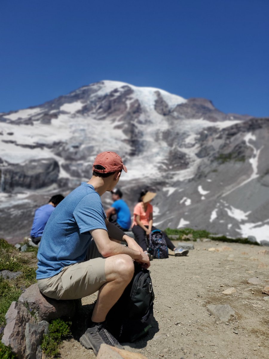 Luis Palomino tweet media