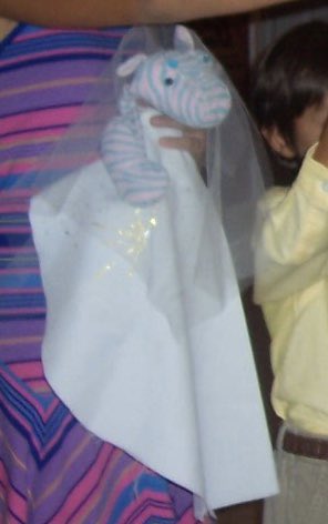 apiscopo5's tweet photo. can’t believe it’s been 13 years since my childhood stuff zebra Viva got married to Pepito the penguins in a custom made dress... https://t.co/jeRP1G5b5D
