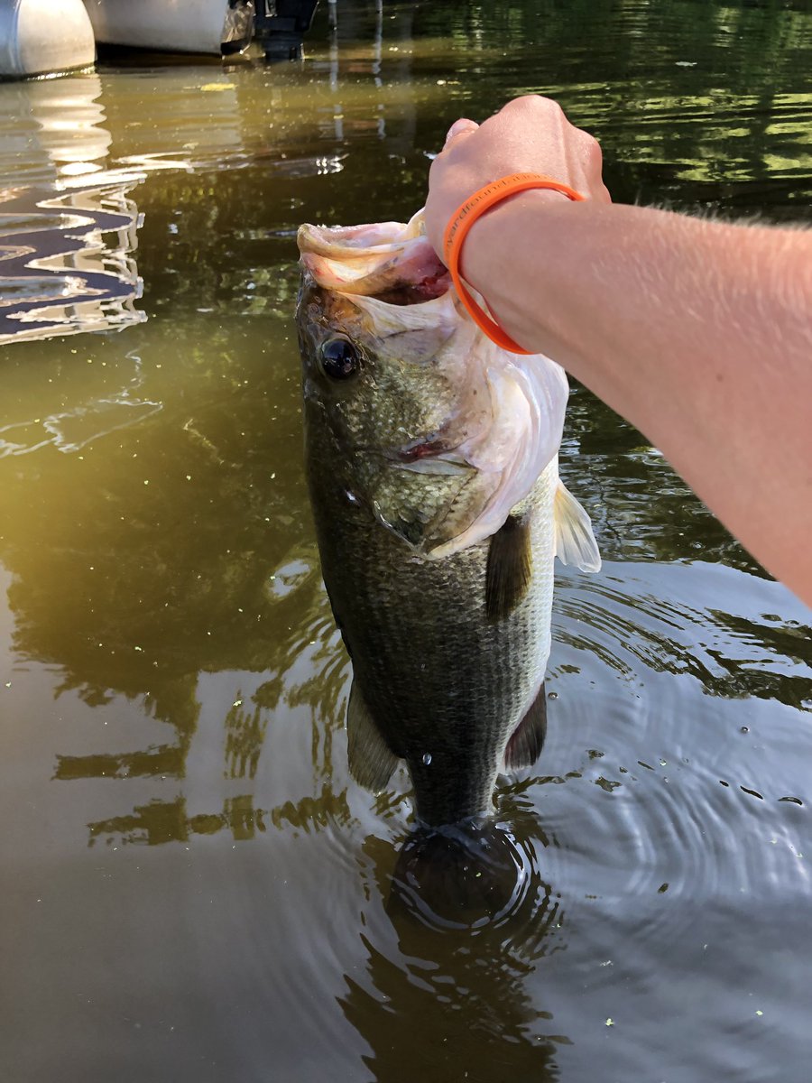 RecordBassin's tweet image. 5.4