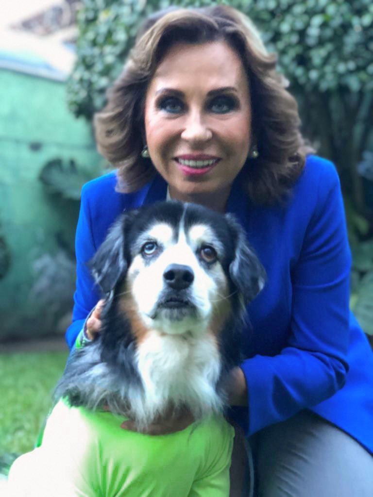 SandraTorresGUA's tweet photo. Hace 4 años adoptamos a Wicho pensando que cambiaríamos su vida. Hoy tengo la certeza que ha sido él quien ha transformado las nuestras. La historia de su recuperación, su fidelidad e incondicional compañía me demuestra todos los días que el amor lo puede todo. https://t.co/lJTcLxwgVS