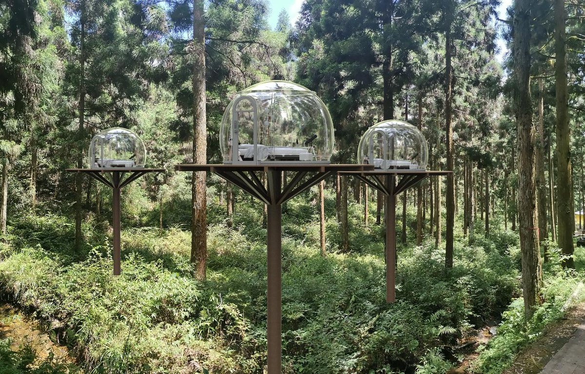 Lucidomes1's tweet photo. Fifty sets of Lucidomes transparent hotel landscape planning in ZheJiang Province, China.
#Lucidomes #ClearHotel #TransparentHotel #BubbleTent
#PCtent #GlampingDome https://t.co/5DceCpTwS8