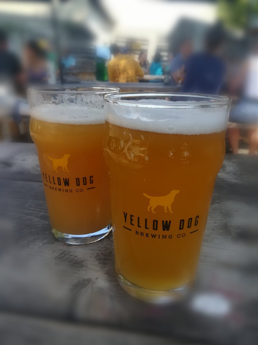 28homes's tweet photo. Public holiday beers in the sunshine ☀️🍻💕 #BCDay #LongWeekend #TravelCouple #Love #TravelMad #Flashpackers #Travel #PortMoody #Brewery #Canada #BC @YellowDogBeer https://t.co/dqOjLUJTMW