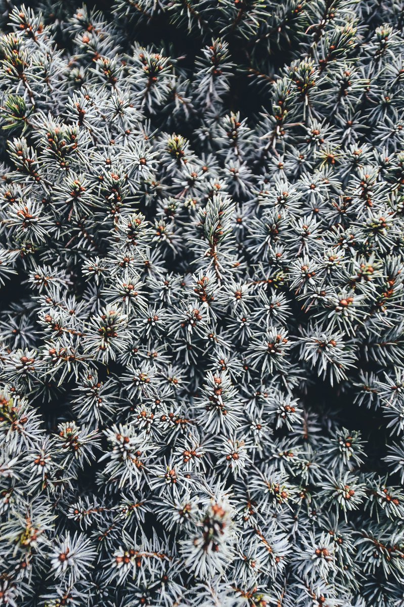 AdrianXalazar's tweet photo. #TheColorsOfNature https://t.co/WKU6AuzmyY