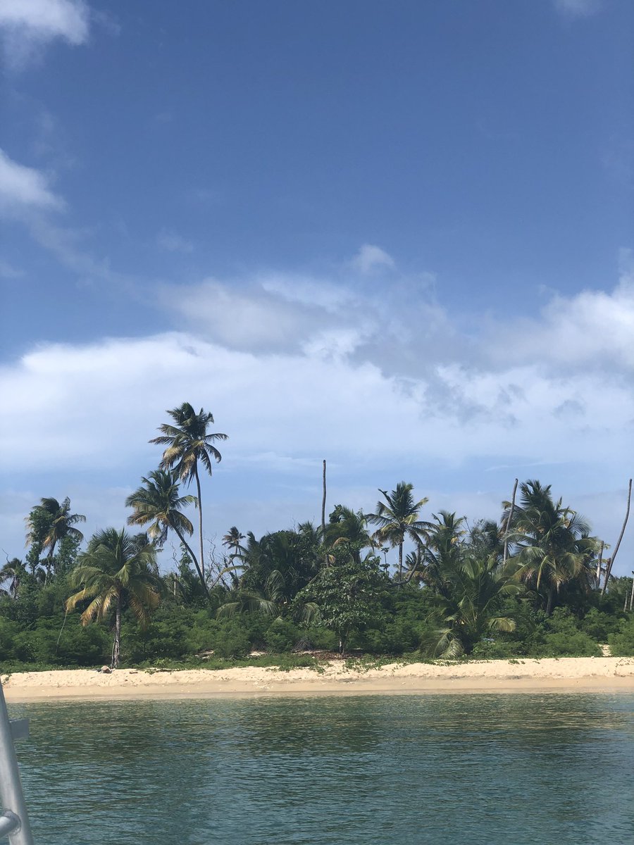 KWhite4learning's tweet photo. Because I have not... Happy Moment: Absolutely beautiful!!! The island of Vieques!!! I am in ❤️ with 🇵🇷!!! #learnandexplore #explorica https://t.co/sTGu0TH81Y