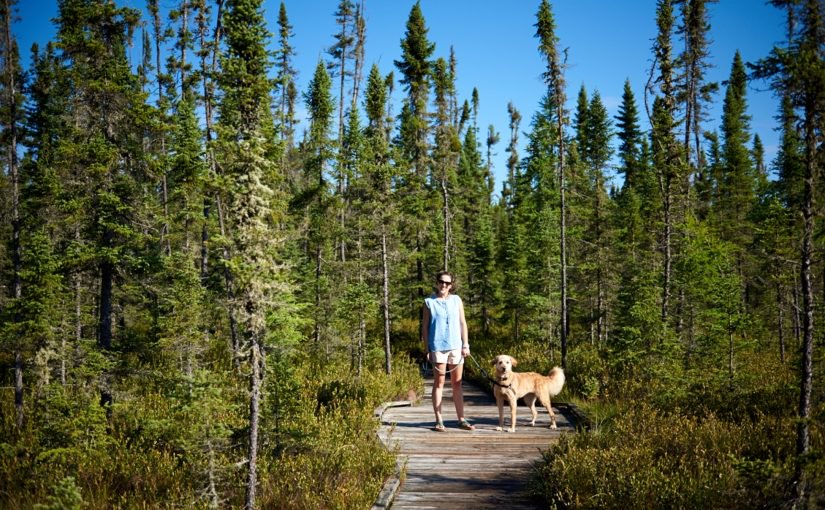 OntarioParks's tweet photo. Don’t let your pup spread invasive species: https://t.co/lHWbzdpCbW #InvasionON https://t.co/mQLC9pXOcf