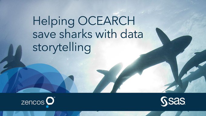 HomesAtMetacoda's tweet photo. Fabulous Shark Tales webcast providing data insights to @OCEARCH on migration patterns and changing the stigma with data, evidence, #dataviz and a #datastory! Great collaboration @ChrisOCEARCH, @TAanderud, @JDagord &amp; @abrown7 🦈📊 
https://t.co/T0OHMN3Yo3 #SharkWeek #Shark https://t.co/Q7FyPe7dXP