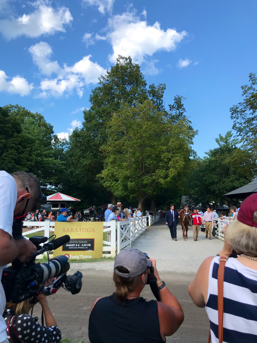 BloomRacing's tweet photo. He’s the one to watch!
#HenleysJoy was posing for the camera as he walked into the paddock for the Saratoga Derby #TurfTrinity🌱 https://t.co/2If5zgrWSB
