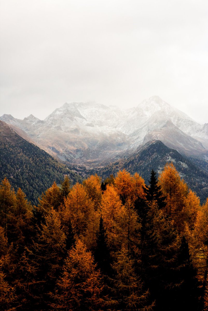 AdrianXalazar's tweet photo. #TheColorsOfNature https://t.co/10NkRyu6wd