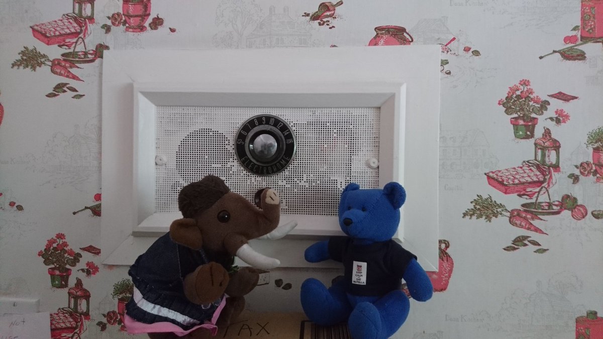 RedditchMammoth's tweet photo. 'What museum is this, Blueberry? I feel like we have just fallen through a time warp into the 1960s!' 'Um, Milly, this is an actual house! But check out the authentic mid-20th century kitchen, complete with fold out ironing board!' #historybears #nevermodernised https://t.co/CEnC8QSIja