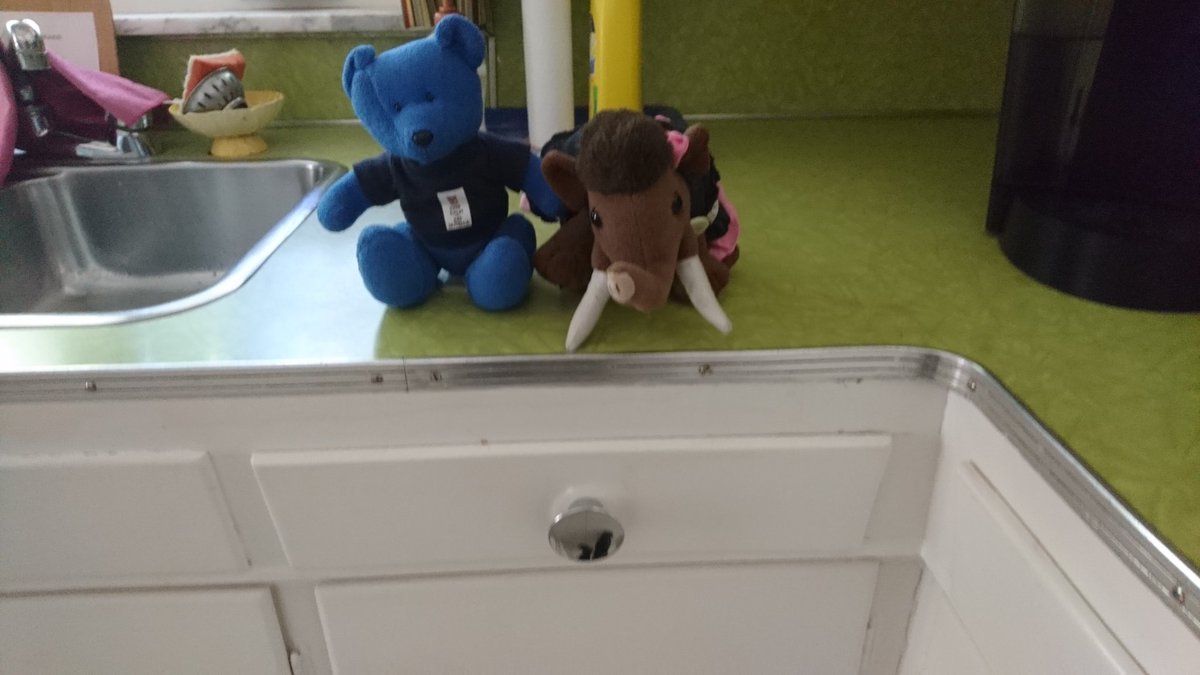 RedditchMammoth's tweet photo. 'What museum is this, Blueberry? I feel like we have just fallen through a time warp into the 1960s!' 'Um, Milly, this is an actual house! But check out the authentic mid-20th century kitchen, complete with fold out ironing board!' #historybears #nevermodernised https://t.co/CEnC8QSIja