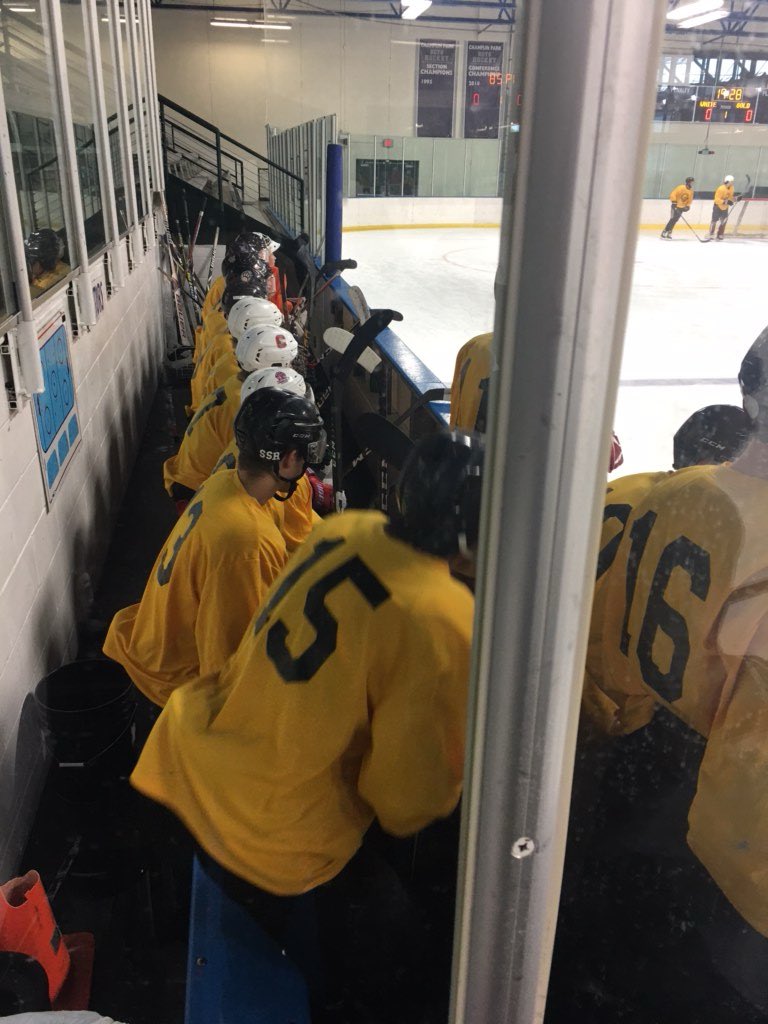 BrownBearsNAHL's tweet photo. Gray v. Gold in the final game of the day here at Main Camp! #BrownBearNation https://t.co/0u7ARP7aYZ