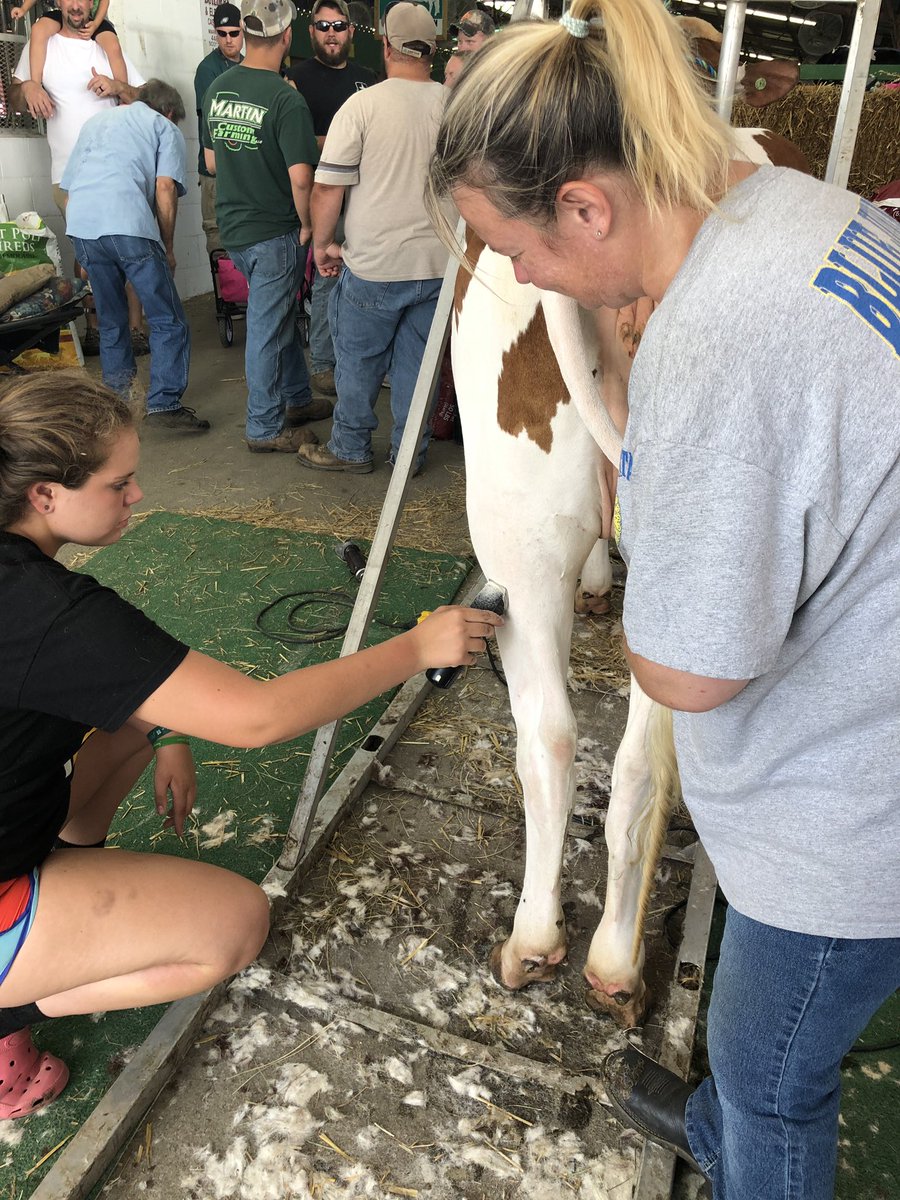 PAFFAFoundation's tweet photo. FFA members showcase their knowledge and skills through Supervised Agriculture Experiences at their local and county fairs.  As you attend fairs, watch for the FFA emblem and offer words of encouragement to these hard working young men and women and their advisors. https://t.co/nI5MjVp2bf