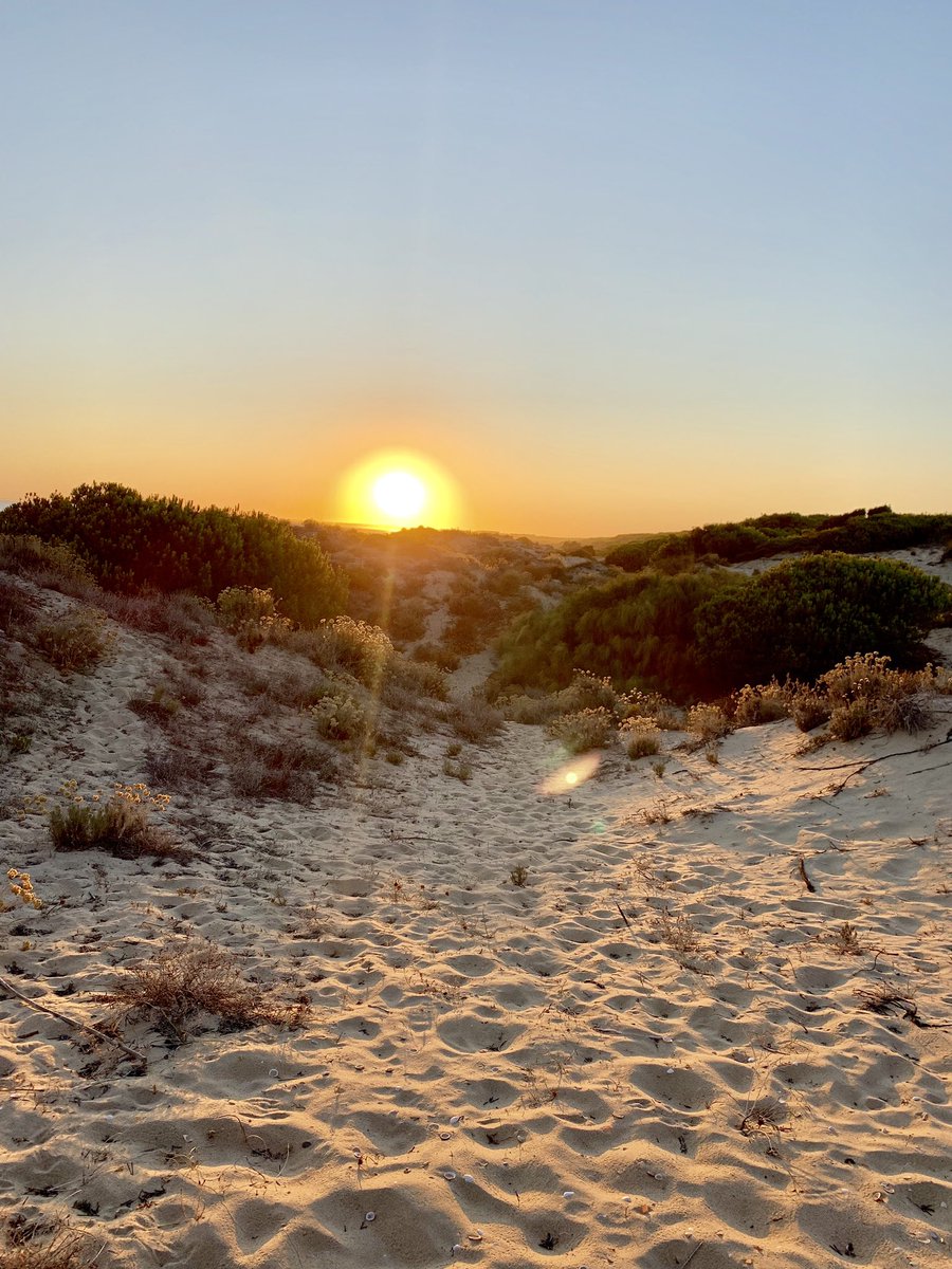 wear_108's tweet photo. @viveandalucia @abcdesevilla La misma puesta de sol desde Punta Umbría #Huelva https://t.co/IpIdejsDmR