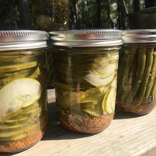 StephaniesDish's tweet photo. I am so excited that I canned something! Affraid I am going to give people botulism but excited none the less. Cukes and Dilly Beans! .
.
.
#canning #pickles #dillybeans #lotsofcukes #stephaniesdish #weeklydishmn https://t.co/NugPcNu2qF https://t.co/vhzkMcmnLf