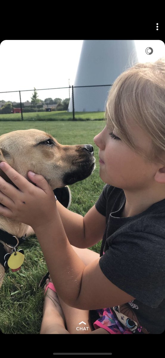 WollinMs's tweet photo. #KisforKisses kisses are best with whiskers 🐾  #ParksideABCchallenge https://t.co/RPHYuisC47
