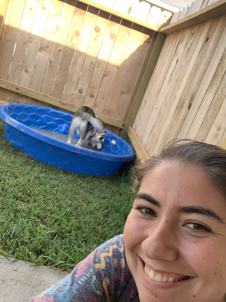 MsShirey_SWE's tweet photo. Sitting on my back patio while Atka plays in his pool!#SWESummer19 https://t.co/kbvQV0h0qB