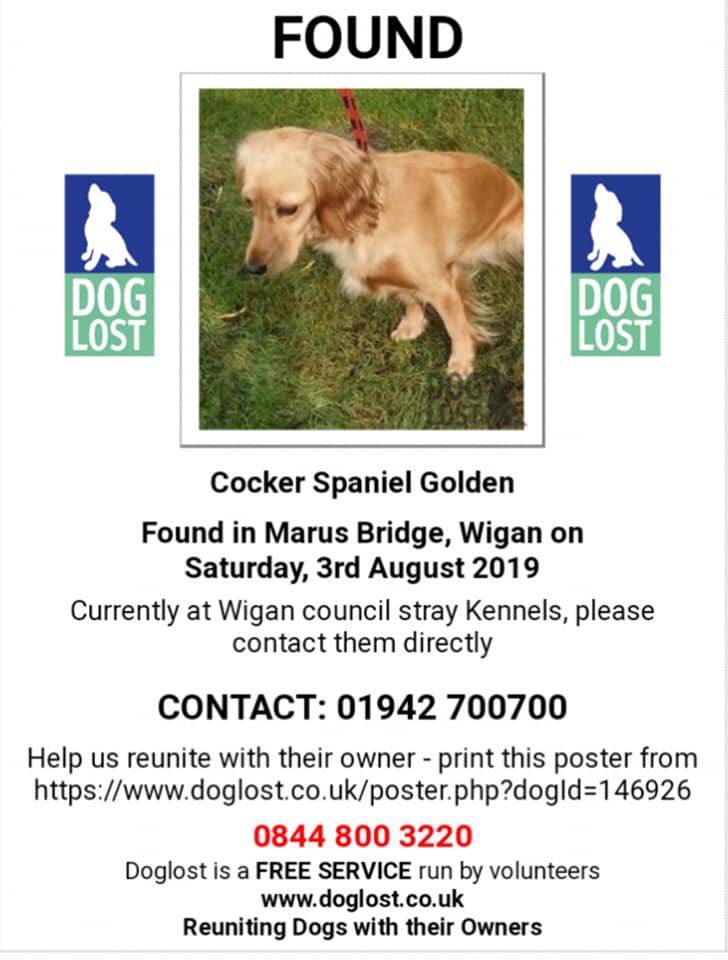 rosieDoc2's tweet photo. #FOUND already sent pictures to #AwolMillie & #beautifulAnna
JUST IN CASE 🤔 could be someone’s lost #Cockerspaniel GOLDEN
Picked up in #MarusBridge #Wigan Saturday 3/8/19 WHOS DOG IS THIS? Now in the care of #WiganCouncilStrayKennels
https://t.co/Y9O45u9zo2 https://t.co/WpF60kgWPH