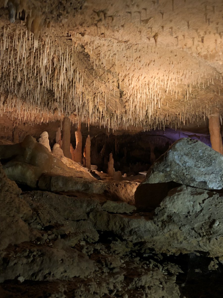 Lcristan24's tweet photo. Inner Space Caverns with @BreaCristan  @ryleecristan @lccrist7. Great time. https://t.co/DfTcyk4Z46