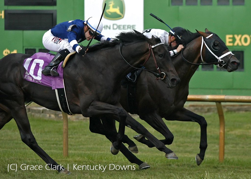 KYDownsRacing's tweet photo. FACTOR THIS breaks a 25 year old track record in the Kentucky Downs Preview Kentucky Turf Cup Stakes! #LiveAtKyDowns https://t.co/m1CrwXVTdn