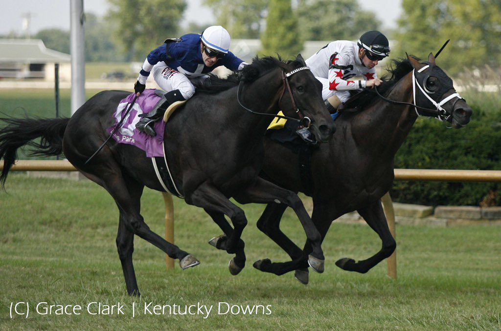KYDownsRacing's tweet photo. FACTOR THIS breaks a 25 year old track record in the Kentucky Downs Preview Kentucky Turf Cup Stakes! #LiveAtKyDowns https://t.co/m1CrwXVTdn