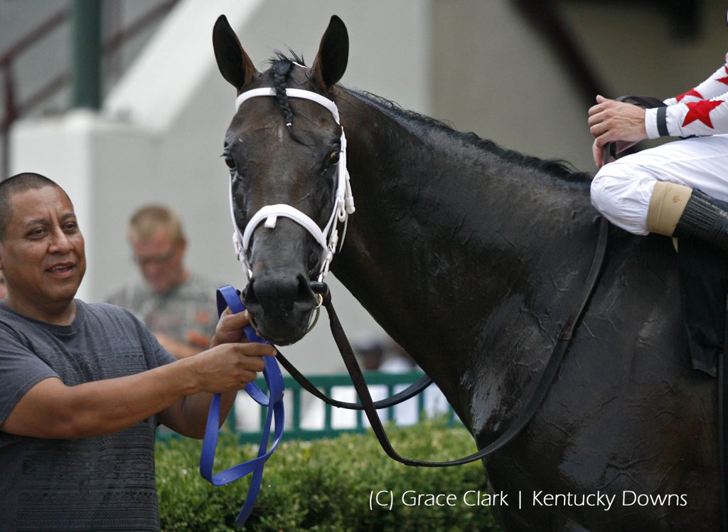 KYDownsRacing's tweet photo. FACTOR THIS breaks a 25 year old track record in the Kentucky Downs Preview Kentucky Turf Cup Stakes! #LiveAtKyDowns https://t.co/m1CrwXVTdn