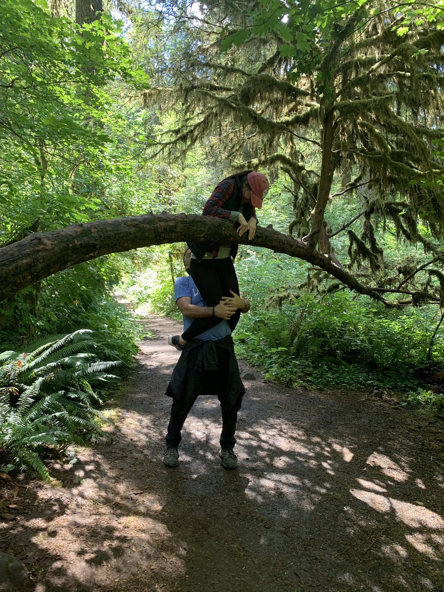 WollinMs's tweet photo. #CisforClimbing like any person in their mid 20s, when I saw a 700 year old tree, I had to climb it... with the help of my dad🤪 #ParksideABCchallenge https://t.co/ud9kFOGW1j