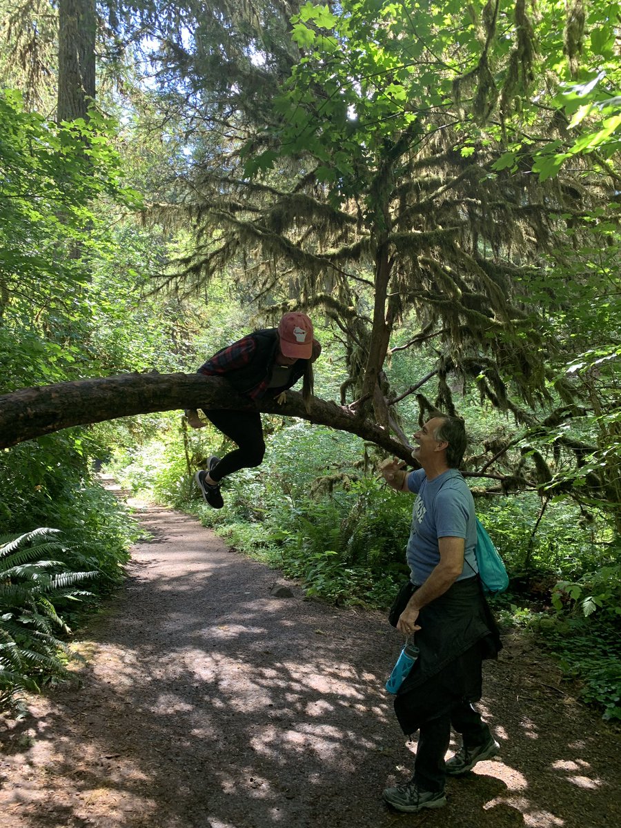 WollinMs's tweet photo. #CisforClimbing like any person in their mid 20s, when I saw a 700 year old tree, I had to climb it... with the help of my dad🤪 #ParksideABCchallenge https://t.co/ud9kFOGW1j