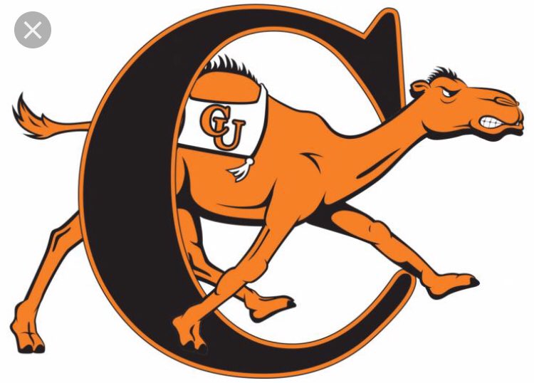 dalenthompson's tweet photo. Extremely blessed to announce that I will be continuing my academic and baseball career at Campbell University! I would like to thank God, my family, coaches and teammates. ROLL HUMPS! 🐪🧡 https://t.co/D3c4i69DDR