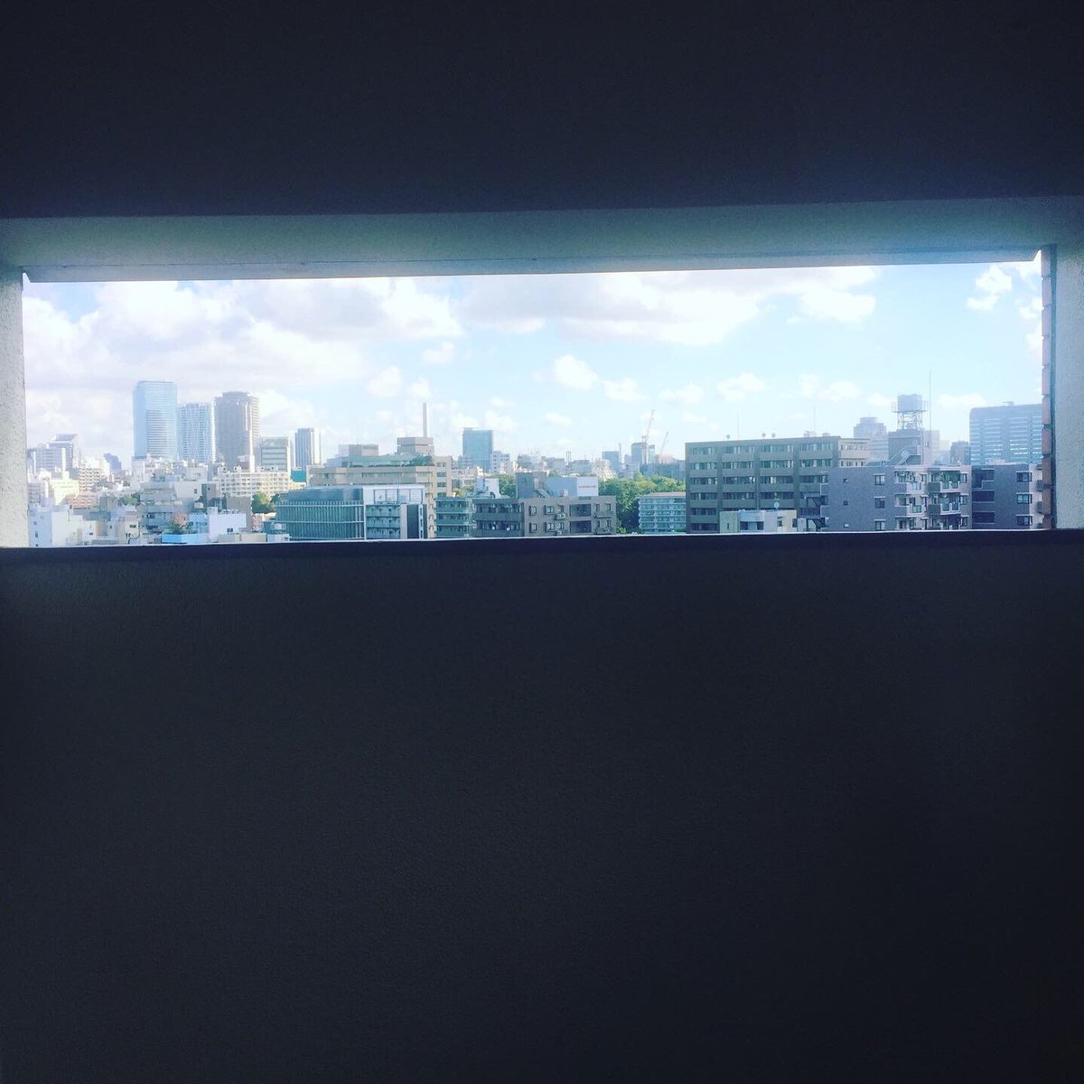 RuiHashimoto's tweet photo. おはようございます!昨日は深夜に東京戻ってきて、頑張って起きて朝ランへ!
#サウシュー #stingrun #run #running #adidas #朝ラン #ランニング #ラン #urbanrunning #adidasrunning #adidasultraboost #streetrunning #アディダス #tokyo #tokyorunning
https://t.co/WPTsX1dtG2 https://t.co/bM281ngoGx