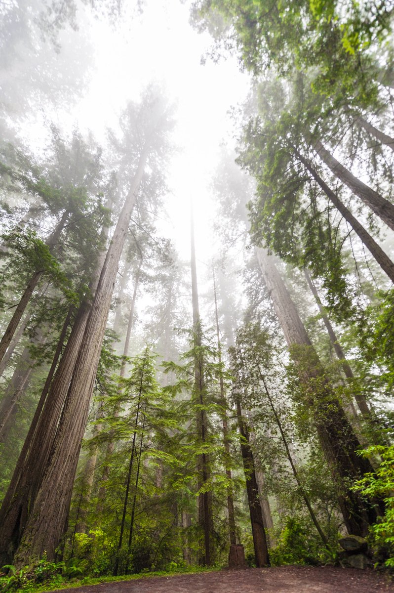 _ABCharities's tweet photo. July is #NationalParkAndRecreationMonth.  To find a charity working to preserve these areas, explore the ‘Conservation &amp; Environmental Protection Charities’ and ‘Local Community Charities’ categories of our website. https://t.co/5M8PzaLgMG https://t.co/Jasx4ja1jS