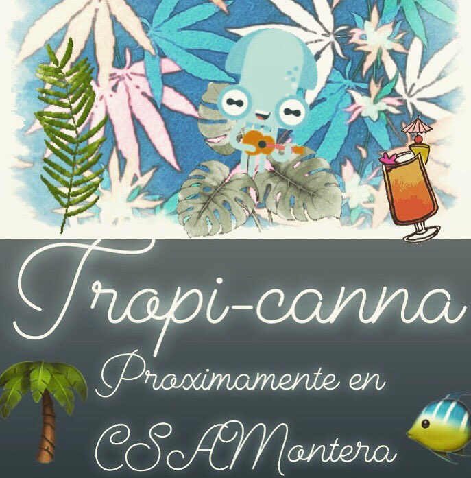 CannabisMontera's tweet photo. 🌸🌿Tropi-canna🌿🌸

Vamos a revolucionar el concepto de tienda.
¿Quieres vivirlo con nosotros? 🙌✌️
🌸Semana temática del 12 al 18 de agosto🌿
¿Te la vas a perder?

#tropicanna #tropicannaparty #tropicannaweek #tienda #can🌿 #proximamente #algobuenoseacerca #csamontera https://t.co/Alr491SwxW