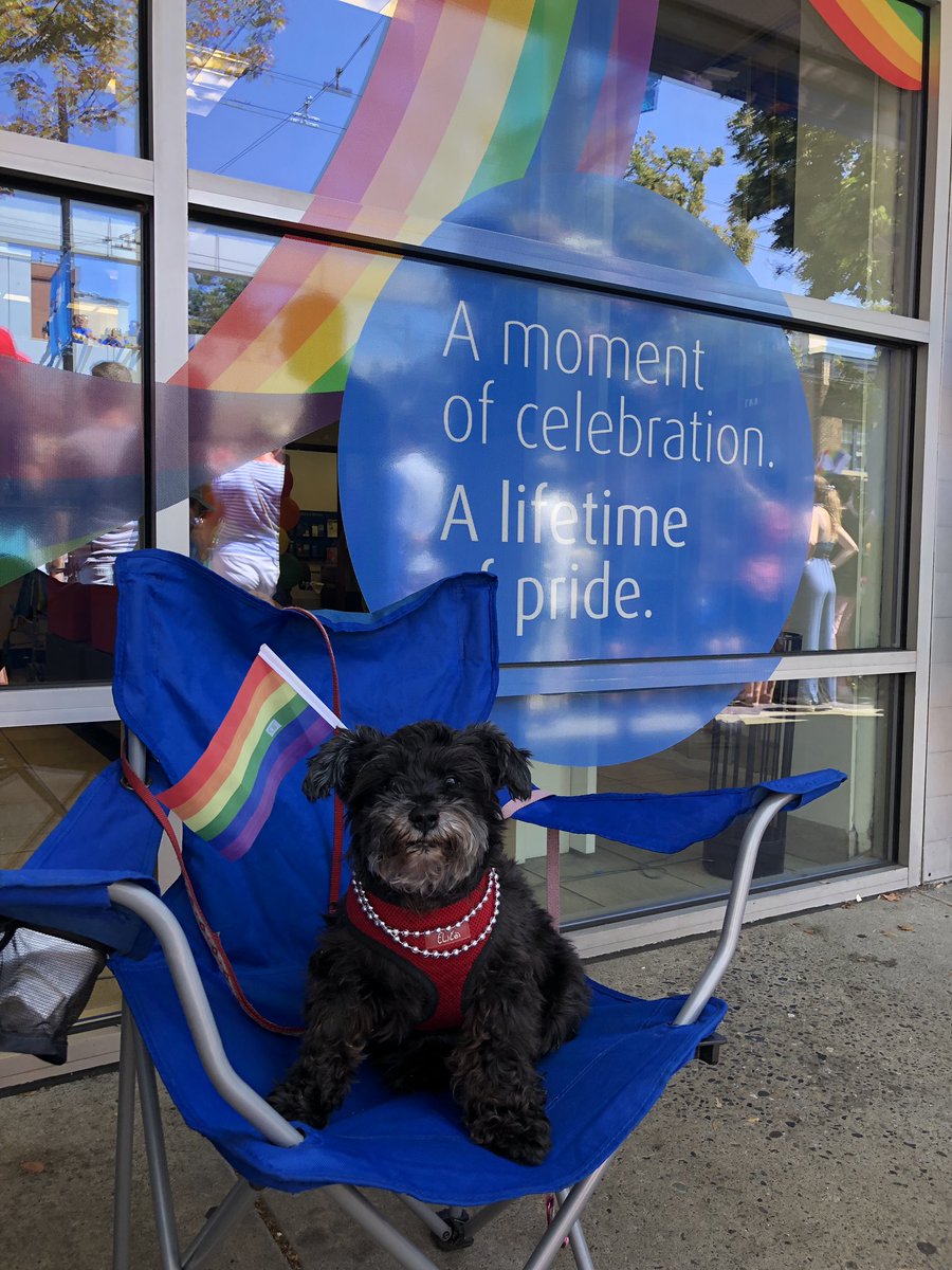 Esperance Dou tweet media