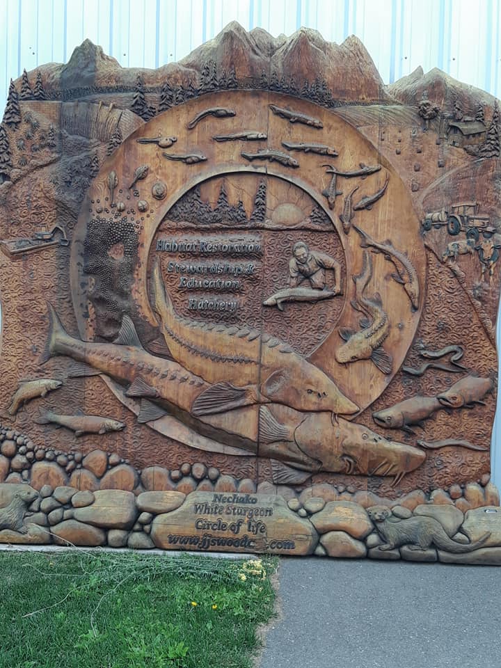 Such a joy to tour the White Sturgeon Conservation Centre in #Vanderhoof on Wednesday. A great educational opportunity for all.#bcpoli