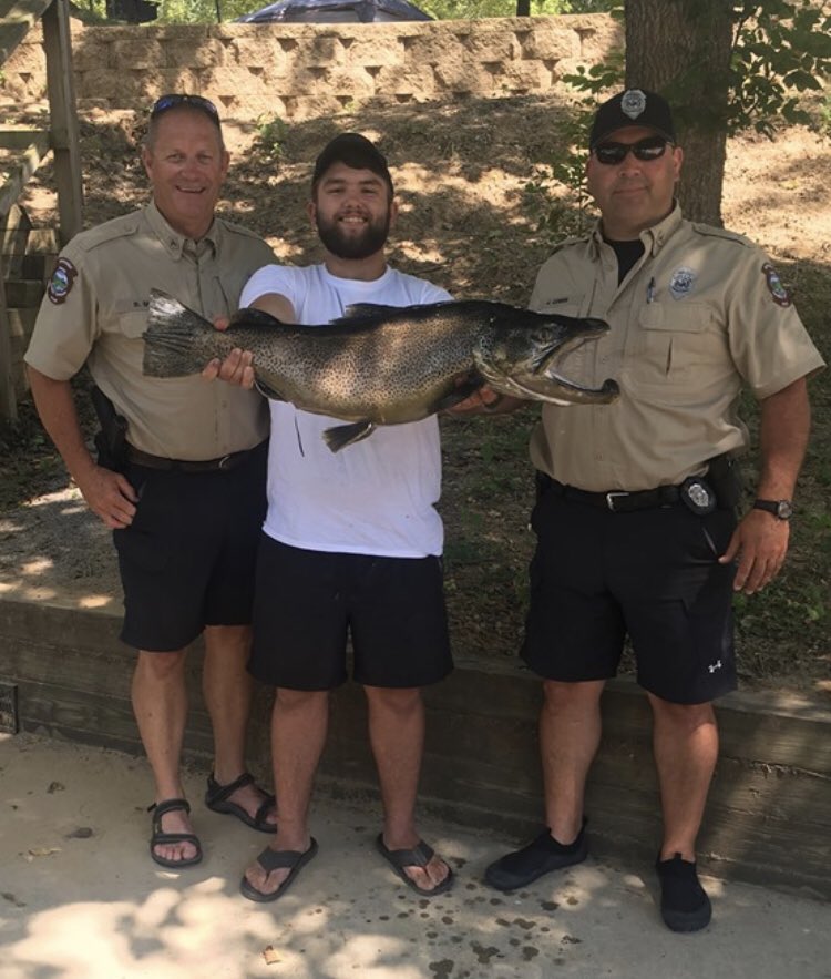 dakotafarms's tweet photo. Officers Small and Cowan got to check a man with a mighty nice Brown caught at Bull Shoals State Park, White River! 19 lbs. 8 oz. 35 inches long. #gamewardens #whiteriver #fisharkansas @ARGameandFish @ARStatePark @megan_marie22 https://t.co/mpCjTOV7mK