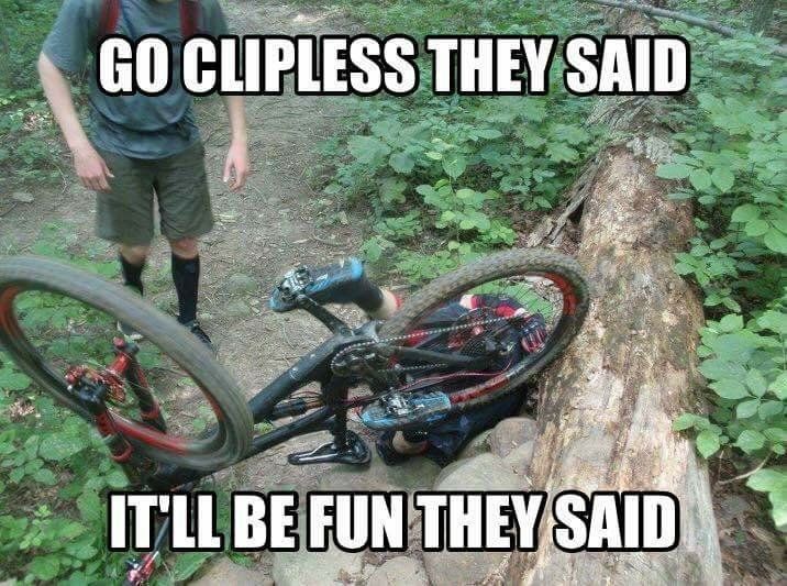 BikeRoar's tweet photo. He came to a stop, and then just fell over!
LEARN MORE → https://t.co/gr3vV1ZGIR
#cliplesspedals #cycling #bike #pedals #bicycle #shoes #cleats #ride https://t.co/bpQtKrz4U1
