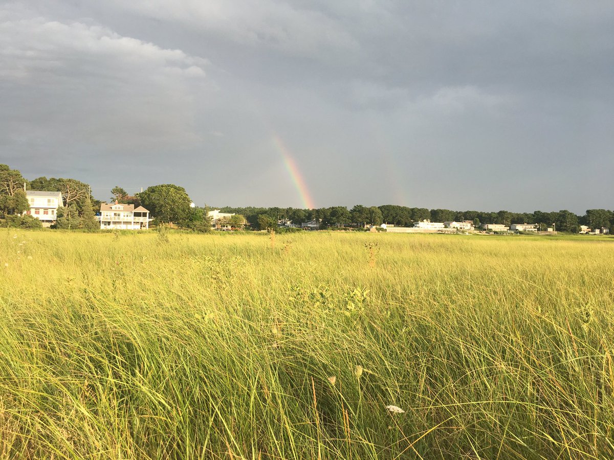 SimplySuzy's tweet photo. So, yesterday I tripped over the shop vac and ended up with two broken ribs. The rainbow in this story is that the cottage isn’t rented so I could rest here today. #NoFilter #CapeCod #ParkwoodBeach #PostcardPoint https://t.co/LZEypZMuh5