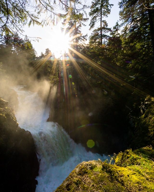 Stasher_BC's tweet photo. A quick read and you will discover why this is the top visited article on my website. The Top Tofino Road Trip Must Do Stops https://t.co/Pz9Pno0t4q Via @Stasher_bc #YourTofino #Tofino #VancouverIsland #ExploreBC @tourism_tofino @TourismVI @HelloBC @ParksCanada @ExploreCanada https://t.co/R93gLHupax