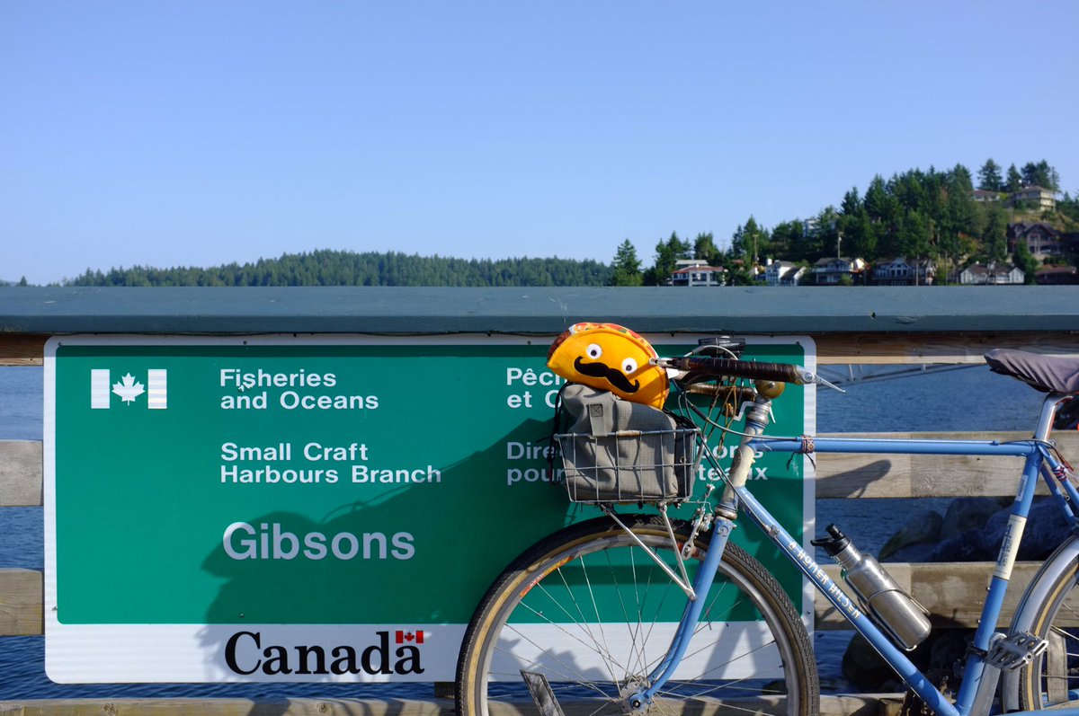 Sr. Taco (Crispy) tweet media