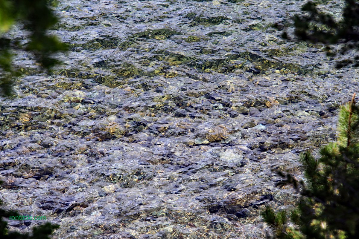 Life rippless - see more on my blog at rontittle.com)
