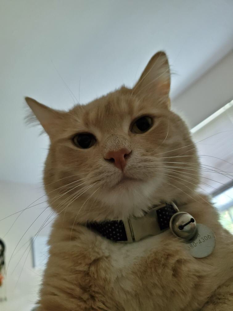chECK_ERT_out's tweet photo. When you open your phone and the front facing camera is on https://t.co/vguGvrgEvt