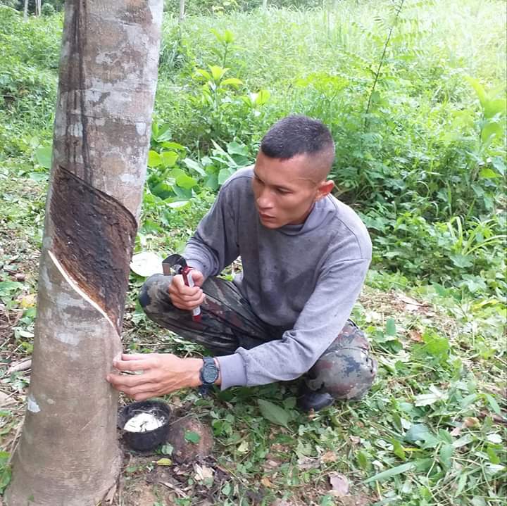 NavyThai2020's tweet photo. https://t.co/g5EKmBZUrQ