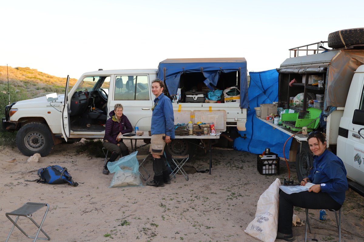 TERN_Aus's tweet photo. The TERN field team is just back from #WA! More #environment monitoring plots established, #soil &amp; #plant data &amp; samples collected, partnerships strengthened &amp; gaps in the TERN national ecosystem observatory filled. More to come... #NCRISimpact https://t.co/vfRxAvJ11a
