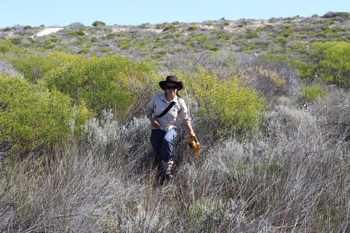 TERN_Aus's tweet photo. The TERN field team is just back from #WA! More #environment monitoring plots established, #soil &amp; #plant data &amp; samples collected, partnerships strengthened &amp; gaps in the TERN national ecosystem observatory filled. More to come... #NCRISimpact https://t.co/vfRxAvJ11a