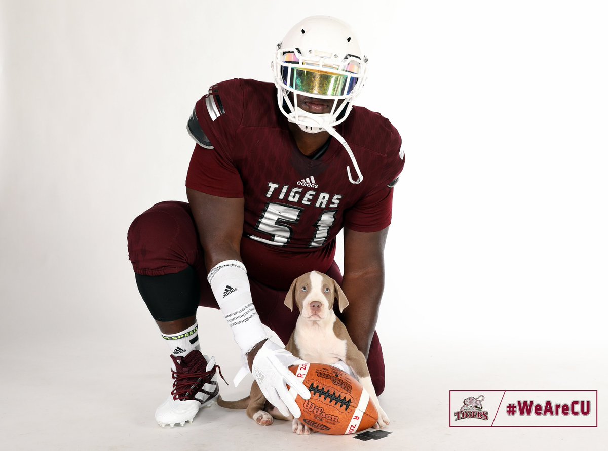 CvilleTigersFB's tweet photo. 25 days until kickoff!! Fighting Tiger football held their pre-season photoshoot this afternoon. Full gallery will be posted tomorrow! #WeAreCU 📸🏈 https://t.co/HdvYQnlEsv