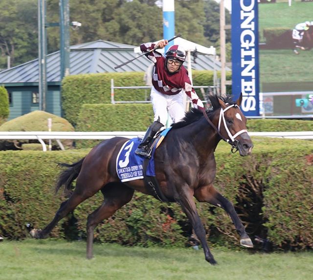 PhotosbyZ's tweet photo. A Thread of Blue with Luis Saez up wins the 1st running of the Saratoga Derby Invitational @darleystallions #verybusyweekend https://t.co/Pf7WVH0BVk https://t.co/OGatmS6QXa